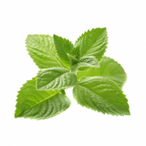 Menthol E-Liquid - Bang Bang Vapors, LLC